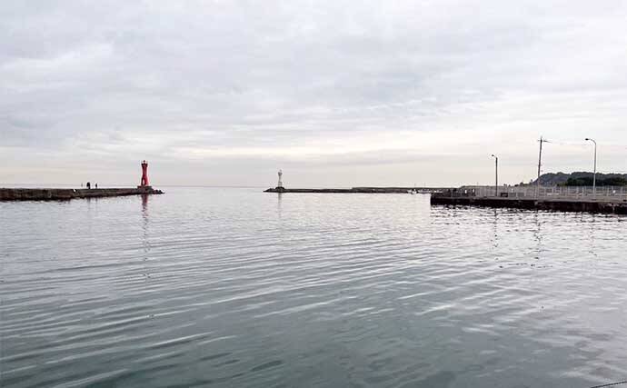 堤防アジング釣行でアジ連打【大阪・深日港】サビキ釣りを観察すると釣れる？