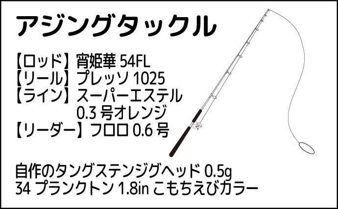 堤防アジング釣行でアジ連打【大阪・深日港】サビキ釣りを観察すると釣れる？