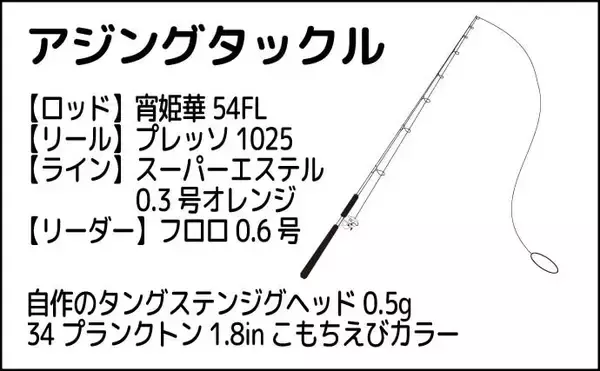 「堤防アジング釣行でアジ連打【大阪・深日港】サビキ釣りを観察すると釣れる？」の画像
