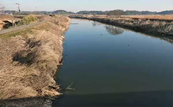 「今週のヘラブナ推薦釣り場2024【千葉・神崎川】」の画像