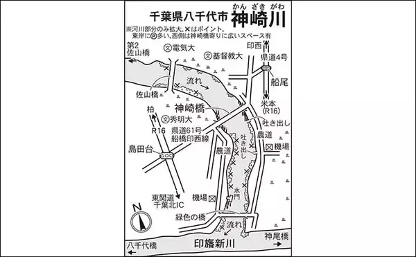 「今週のヘラブナ推薦釣り場2024【千葉・神崎川】」の画像