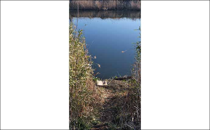 今週のヘラブナ推薦釣り場2024【千葉・神崎川】