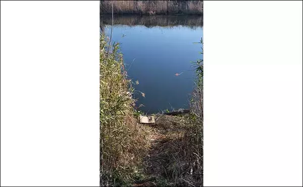 「今週のヘラブナ推薦釣り場2024【千葉・神崎川】」の画像