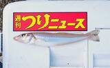 「堀切海岸での投げ釣りで20cm頭にシロギス好捕【愛知】数は今後の本格期に期待」の画像1