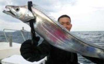 【沖釣り釣果速報】タチウオ便でドラゴン級が続々！タイラバでは60cmマダイも（大分・熊本）