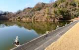 「今週のヘラブナ推薦釣り場【静岡県・城池】」の画像1