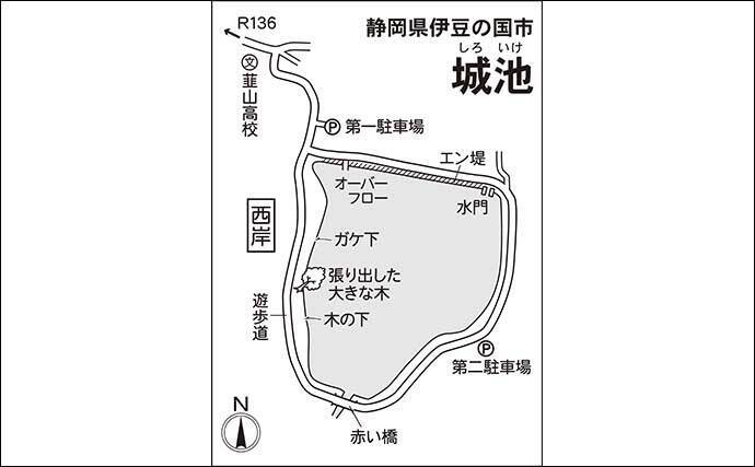 今週のヘラブナ推薦釣り場【静岡県・城池】