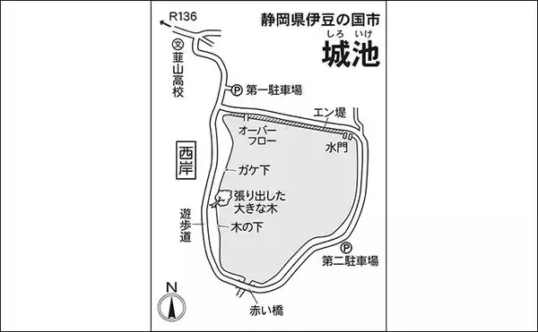「今週のヘラブナ推薦釣り場【静岡県・城池】」の画像