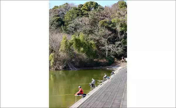 「今週のヘラブナ推薦釣り場【静岡県・城池】」の画像