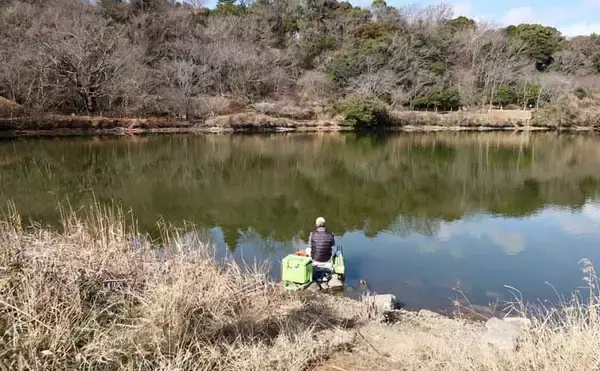 「今週のヘラブナ推薦釣り場【静岡県・城池】」の画像
