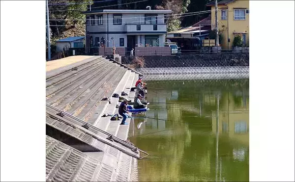 「今週のヘラブナ推薦釣り場【静岡県・城池】」の画像