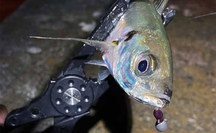 曲者ワームカラー【スチールカラー】の使い方　スレにはご注意を！