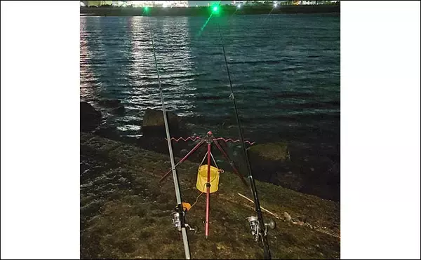 「ちょい投げ釣りで本命ウナギをキャッチ【三重・鈴鹿川】アケミ貝エサにヒット」の画像