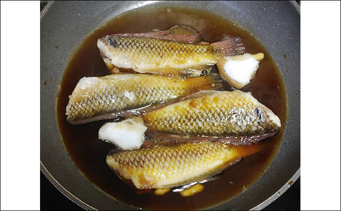 釣ったキュウセンベラで作る「焼き絞め」レシピ　香ばしさが最大の売り
