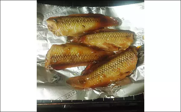 「釣ったキュウセンベラで作る「焼き絞め」レシピ　香ばしさが最大の売り」の画像