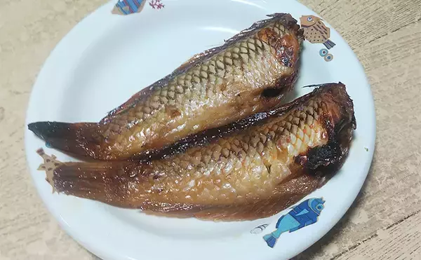 「釣ったキュウセンベラで作る「焼き絞め」レシピ　香ばしさが最大の売り」の画像