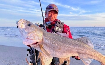 遠州灘サーフゲームでランカーシーバス80cm登場【愛知県・田原】マゴチも交え3魚種達成