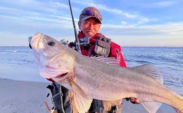 遠州灘サーフゲームでランカーシーバス80cm登場【愛知県・田原】マゴチも交え3魚種達成