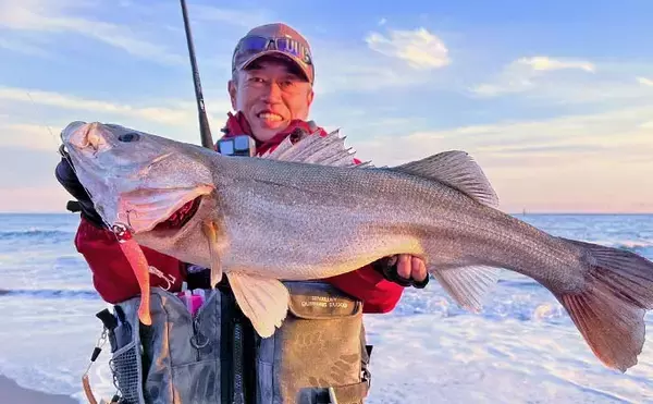 「遠州灘サーフゲームでランカーシーバス80cm登場【愛知県・田原】マゴチも交え3魚種達成」の画像