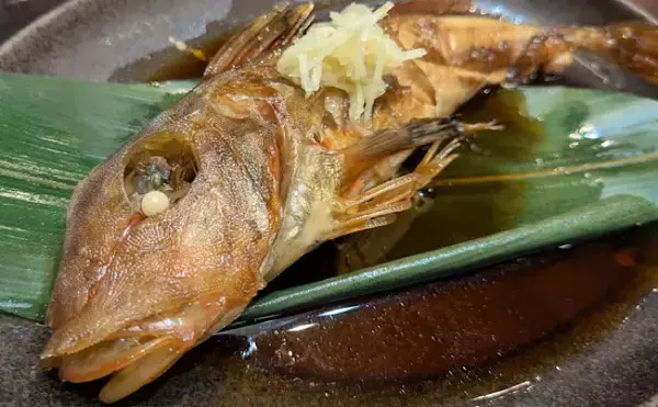 「包丁よりも硬い石頭を持つサカナたち　調理法を選べば食味は抜群！」の画像