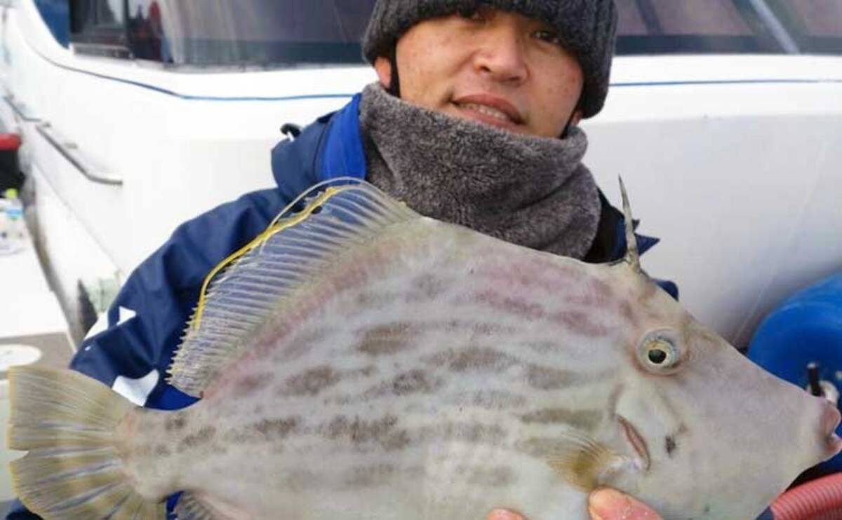 カワハギ メバル等の釣りに ニュー船180 数量限定セール