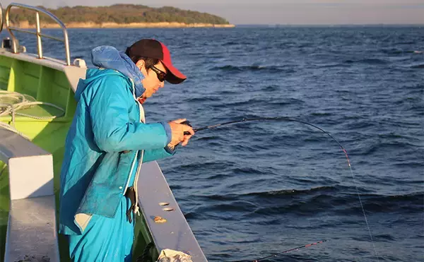 「名手に教わる春のカットウフグ釣り【基本の釣り方と釣果UPのひと工夫を紹介】」の画像