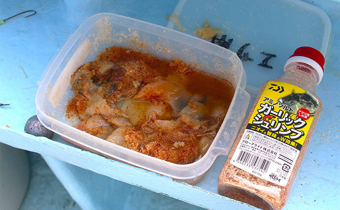 名手に教わる春のカットウフグ釣り【基本の釣り方と釣果UPのひと工夫を紹介】