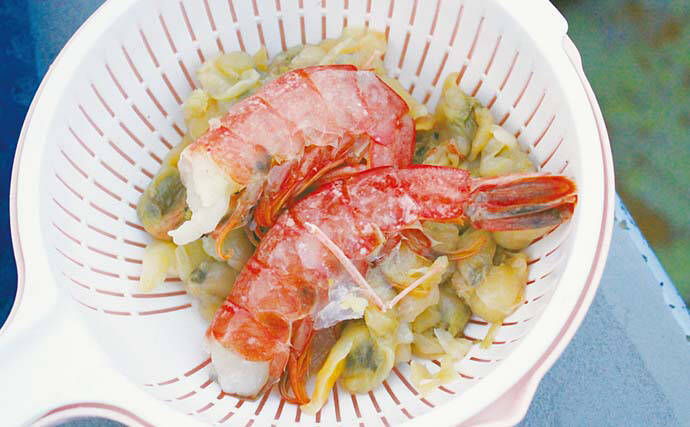 名手に教わる春のカットウフグ釣り【基本の釣り方と釣果UPのひと工夫を紹介】