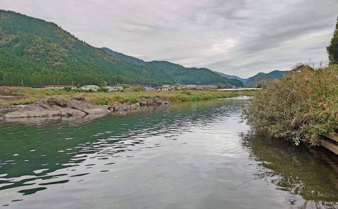 「ノベザオ一本で巨ゴイとガチンコ勝負！」豪快ファイトで76cmを手中【岐阜・長良川郡上】