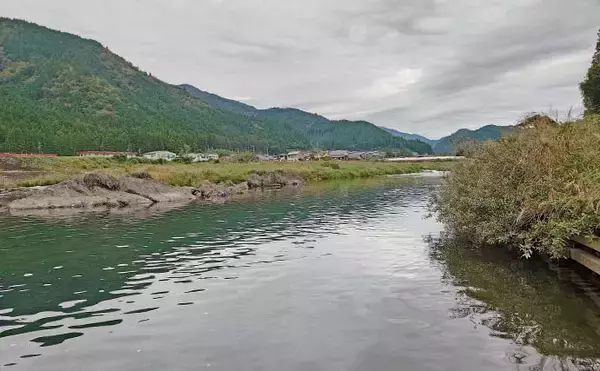 「「ノベザオ一本で巨ゴイとガチンコ勝負！」豪快ファイトで76cmを手中【岐阜・長良川郡上】」の画像