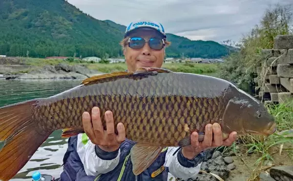 「「ノベザオ一本で巨ゴイとガチンコ勝負！」豪快ファイトで76cmを手中【岐阜・長良川郡上】」の画像