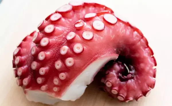 「タコの養殖技術が大きく前進 　エサを包んで与えると成長が促進される？」の画像