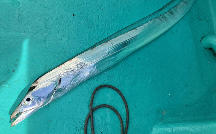 富山湾でアカムツ釣りシーズン到来！開幕戦で本命3匹手中に成功【強神丸】