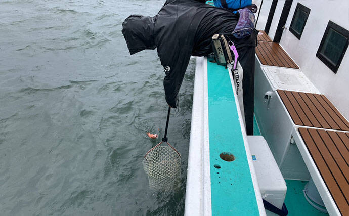 富山湾でアカムツ釣りシーズン到来！開幕戦で本命3匹手中に成功【強神丸】