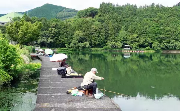 今週のヘラブナ「ピックアップ」釣り場2026【静岡県・野守の池】