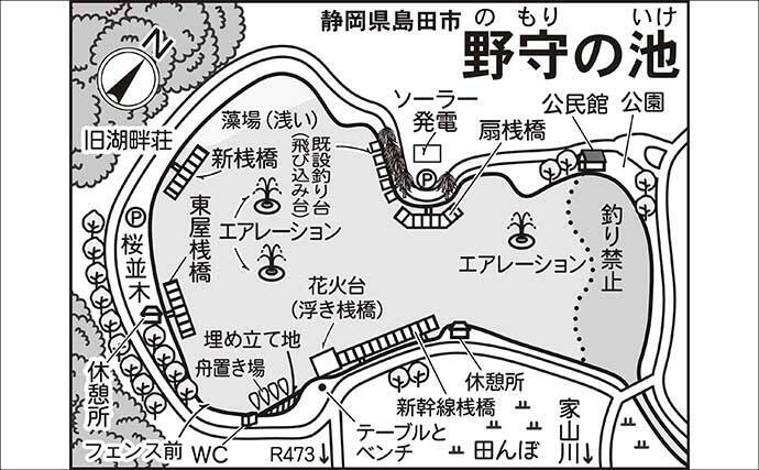 今週のヘラブナ「ピックアップ」釣り場2026【静岡県・野守の池】