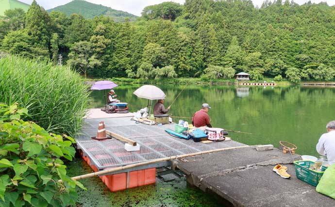 今週のヘラブナ「ピックアップ」釣り場2026【静岡県・野守の池】