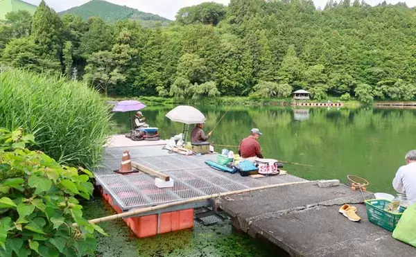 「今週のヘラブナ「ピックアップ」釣り場2026【静岡県・野守の池】」の画像