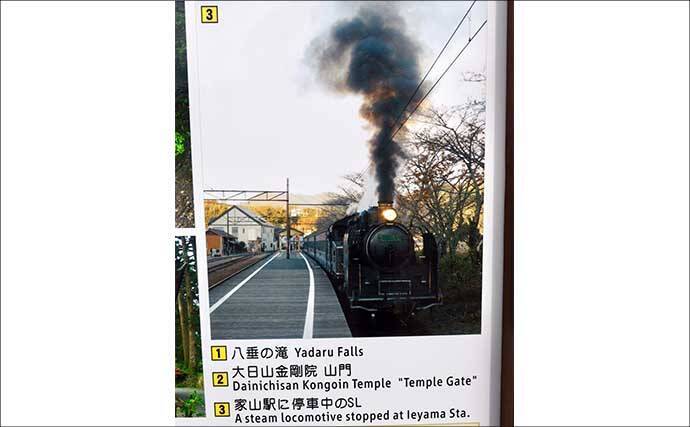 今週のヘラブナ「ピックアップ」釣り場2026【静岡県・野守の池】
