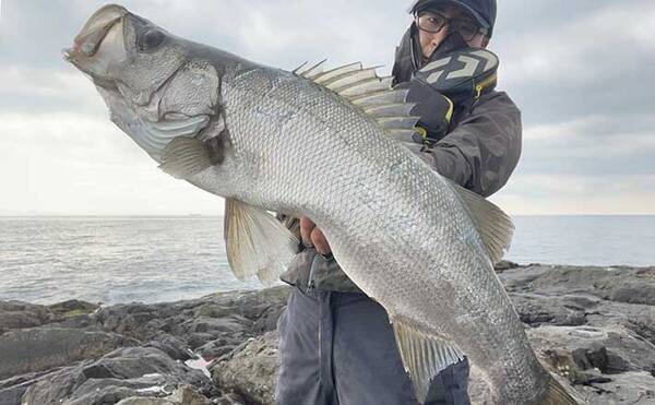 渡船利用の 磯釣り 超入門 予約 釣行当日の1日の流れと注意点 22年1月30日 エキサイトニュース