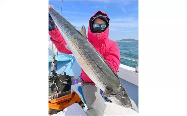 「【三重・愛知】沖のルアー釣り最新釣果　乗っ込みマダイと青物が好調」の画像