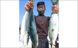 「【三重・愛知】沖のルアー釣り最新釣果　乗っ込みマダイと青物が好調」の画像7