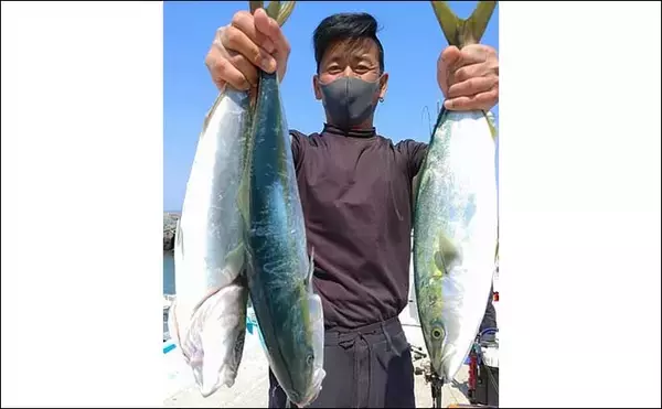 「【三重・愛知】沖のルアー釣り最新釣果　乗っ込みマダイと青物が好調」の画像