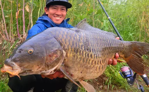 「「桑の実に鯉が好反応！」河川でのウキ釣りで80cm級頭に良型コイが連発【埼玉・新河岸川】」の画像