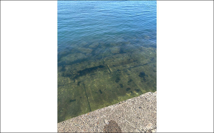 「冬はカサゴが大きくなるぞ！」デイ＆ナイトゲームそれぞれの大型狙い方を紹介