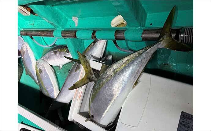 「寒ブリが大爆釣！」電気ブリ釣りでたった30分でクーラー満タンに【新潟・謙信丸】