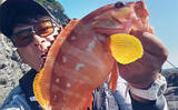 「米水津でクロと根魚を狙う磯釣り【大分】ウキフカセで尾長&マエウチでアカハタを手中」の画像5