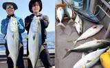 「ジギングでブリが連発！釣る人8匹と爆釣！　関西エリアの【船釣り特選釣果】」の画像1