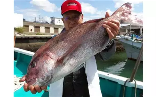 「ジギングでブリが連発！釣る人8匹と爆釣！　関西エリアの【船釣り特選釣果】」の画像