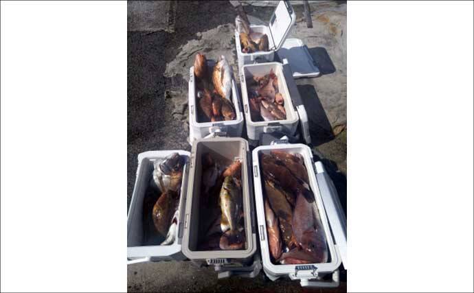 ジギングでブリが連発！釣る人8匹と爆釣！　関西エリアの【船釣り特選釣果】